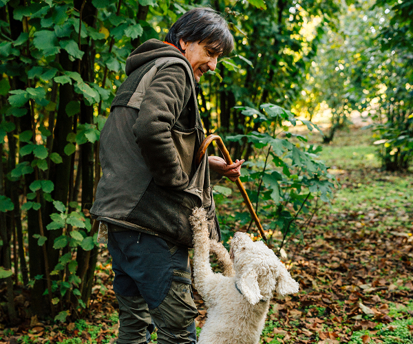Bild zu Genussreisen
